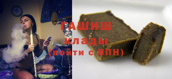 индика Пестово