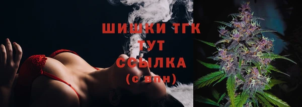 бошки Алексин