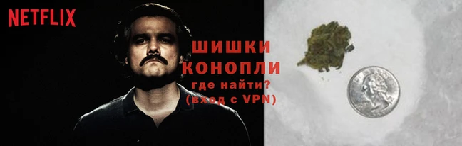 бошки Алексин