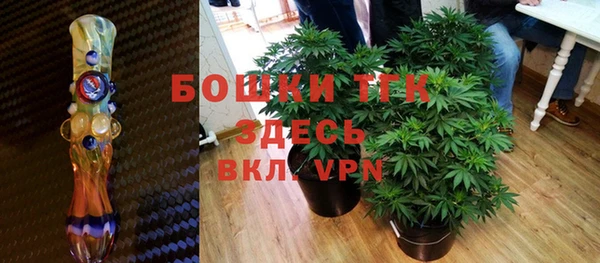 бошки Алексин