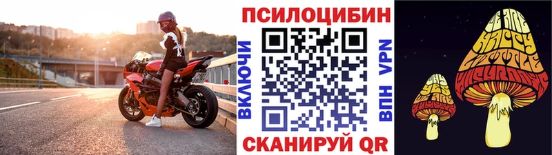 кракен вход Полярные Зори Галлюциногенные грибы Magic Shrooms